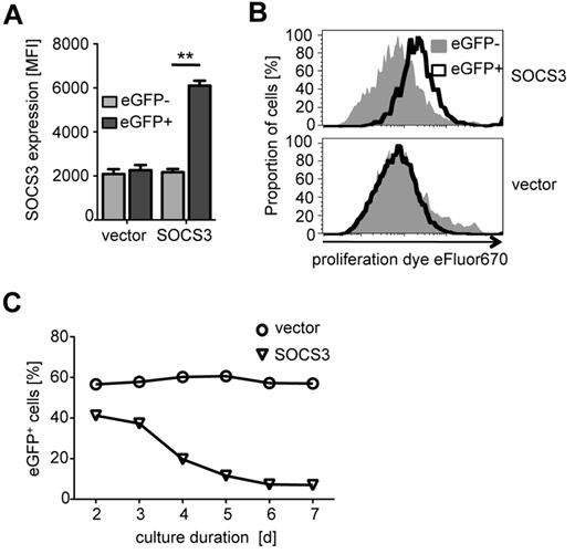 Figure 3. Ectopic SOCS3 expression by lentiviral transduction and effects on proliferation of CD4+ T cells. CD4+ T cells transduced with a lentiviral SOCS3 expression vector coexpressing eGFP, or a control vector expressing eGFP only, after prestimulation with αCD3/CD28 are shown. (A) SOCS3 protein expression analyzed 2 days after transduction for SOCS3 and control vector–transduced CD4+ T cells is shown. EGFPhigh T cells represent lentivirally transduced cells (black bars), and eGFPlow T cells represent nontransduced cells in the same well (gray bars). Bars represent mean ± SD of 2 replicates. One representative experiment of 5 is shown. **P .01 (paired t test). (B) Proliferation analyses of SOCS3- (top graph) and control vector–transduced (bottom graph) T cells on day 6 after transduction using cell proliferation dye eFluor670. Black open curves indicate EGFPhigh cells; and gray curves, eGFPlow cells. Absolute cell numbers (normalized to the maximal cell count) are shown. One representative experiment of 5 is depicted. (C) Proportions of eGFP+ stimulated T cells in vitro (days 2-7) are shown for SOCS3 (triangles) and control vector (circles). One representative experiment of 3 is shown.