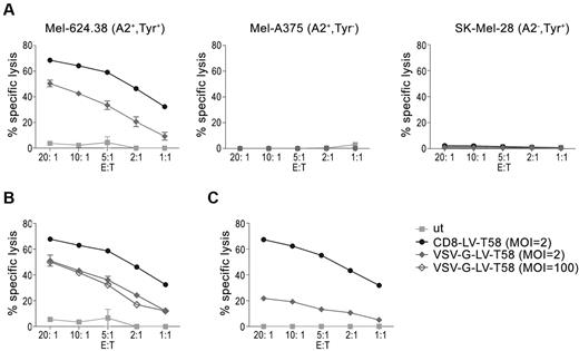 Figure 4. Efficient tumor cell lysis by CD8-LV TCR-transduced T cells. Activated PBMCs (A-B) or purified CD8+ T cells (C) were transduced with CD8-LV or VSV-G-LV at the indicated MOIs, and expanded in 100 IU/mL IL-2–containing medium. On day 12, transduced cells were transferred into 10 IU/mL IL-2–containing medium for 2 to 3 days, and TCR-T58 expression was determined by HLA-A2-Tyr multimer staining (data not shown). Identical numbers of CD8+/TCR-T58+ cells were applied as effector cells and used to normalize E:T ratios. (A) TCR-T58-modified PBMCs were incubated with Mel-624.38 cells or as controls with Mel-A375 or SK-Mel-28 cells at the indicated E:T ratios for 4 hours, and target cell killing was quantified using a FACS-based cytotoxicity assay. Mean values ± SEM calculated from 3 independent experiments are shown. The difference between CD8-LV-TCR-T58 and VSV-G-LV-TCR-T58 (MOI = 2) treated groups is highly significant (P < .0001). (B) TCR-T58–expressing PBMCs transduced by the indicated vectors at the indicated MOIs were incubated with Mel-624.38 cells for 4 hours. Mean values ± SEM calculated from 2 independent experiments are shown. The difference between CD8-LV-TCR-T58 and VSV-G-LV-TCR-T58 (MOI = 100) treated groups is significant (P < .0001), whereas the difference between VSV-G-LV-TCR-T58 (MOI = 2) and VSV-G-LV-TCR-T58 (MOI = 100) treated group is not (P > .05). (C) Purified CD8+ T cells transduced by the indicated vectors were incubated with Mel-624.38 cells for 4 hours, and specific target-cell lysis was determined. Representative results from 1 of 2 independent experiments with T cells from 2 different donors are shown. The difference between CD8-LV-TCR-T58 and VSV-G-LV-TCR-T58 (MOI = 2) treated groups is significant (P < .001).