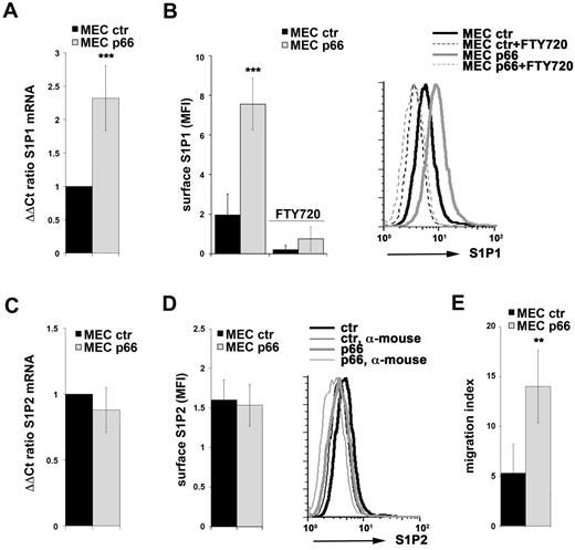 Figure 2. p66Shc controls S1P1 expression in B cells. (A,C) qRT-PCR analysis of S1P1 (A) or S1P2 (C) mRNA in MEC B cells stably transfected with either empty vector (MEC ctr) or an expression construct encoding p66Shc (MEC p66). The relative abundance of gene transcripts was determined on triplicate samples from at least 3 independent experiments using the ddCt method and is expressed as the normalized fold expression (mean ± SD). (B,D) Flow cytometric analysis of surface S1P1 (B) or S1P2 (D) on MEC B cells stably transfected with either empty vector (MEC ctr) or an expression construct encoding p66Shc (MEC p66). The data in the histograms are expressed as the mean fluorescence intensity (MFI) ± SD. Representative FACS profiles of S1P1 (B) or S1P2 (D) are shown. Specificity controls for each experiment included a sample incubated with secondary Ab alone (α-mouse) and, for S1P1 stainings, a sample preincubated with FTY720 to induce receptor down-regulation. (E) Migration of the control and p66Shc-expressing MEC transfectants measured after treatment for 3 hours with S1P (100nM). The data, obtained on duplicate samples from at least 3 independent experiments, are presented as the mean migration index ± SD (ie, the ratio of migrated cells in S1P-treated samples vs untreated samples). ***P < .001; and **P < .01.