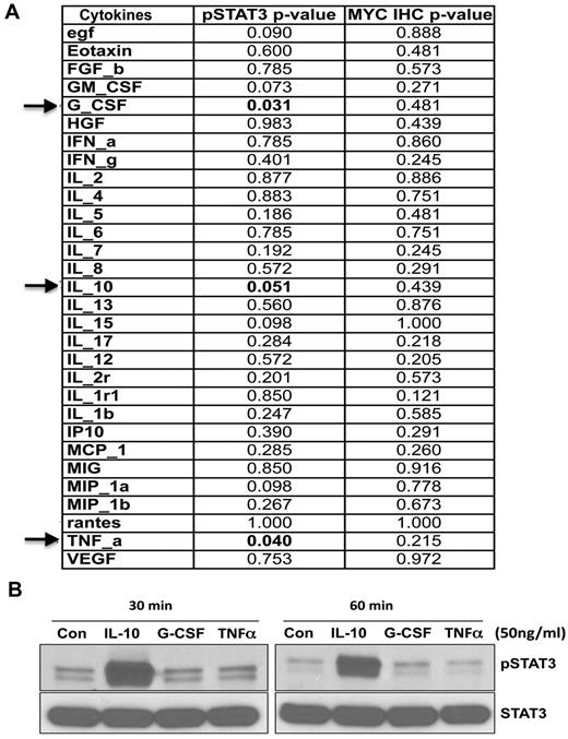Figure 6. Correlation of tumor pSTAT3 and Myc expression with pretreatment serum cytokines in the same patients treated on N0489. (A) Correlation of serum cytokine levels with pSTAT3 and Myc detection by IHC. (B) The serum-starved DHL2 cell line was treated with recombinant human IL-10, G-CSF, or TNF-α (R&D Systems) for various time intervals and subjected to Western blotting for pSTAT3 (tyrosine) antibody.