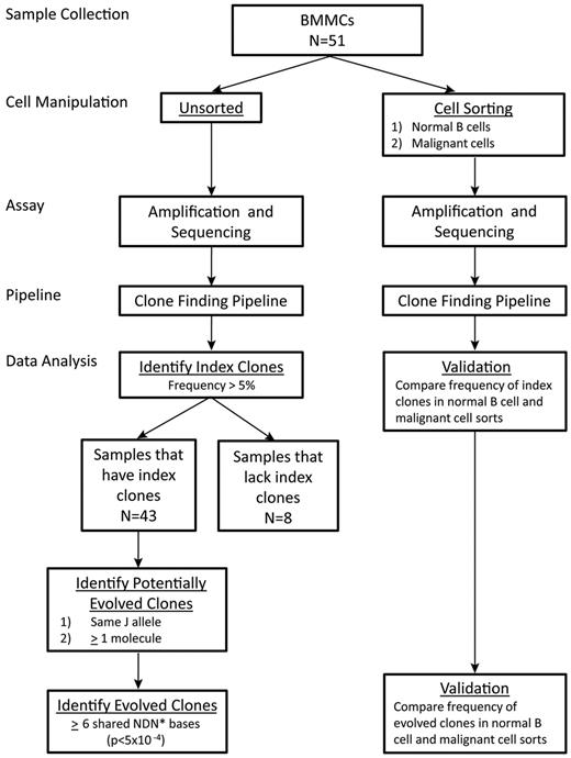 Figure 1. Schematic of workflow. *See “Methods” for definition of effective NDN bases in which D bases are weighted differently than N bases to account for D segment sharing.