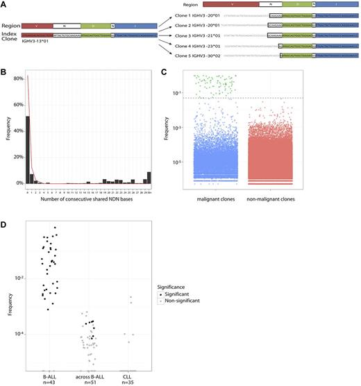 Figure 3. Evolved clones. (A) Index clone and some high-frequency evolved clones in patient 23. Blue represents JH bases; green, D bases; red, VH bases; and black, shared N bases. These evolved clones share large stretches of bases consistent with common ancestry. (B) Percentage of clones that share JH and NDN bases with index clones. The x-axis represents the number of shared bases. Data from B-ALL samples are shown as the black histogram, indicating a sharp decline that can be explained by random matching, and then an increase in frequency after 10 bases. For comparison, the red line indicates sharing in CLL samples and lacks the increase in sharing after 10 bases. (C) Frequency plots of malignant clones (index, green plus evolved, blue) versus nonmalignant clones (red). Evolved clones are similar in frequency to nonmalignant clones. (D) Per-patient fraction of evolved clones among all clones in B-ALL, CLL, and in patient-permuted B-ALL samples (across B-ALL). Each dot represents a patient, with shading of the dot indicating whether the number of evolved clones in a sample is significant.