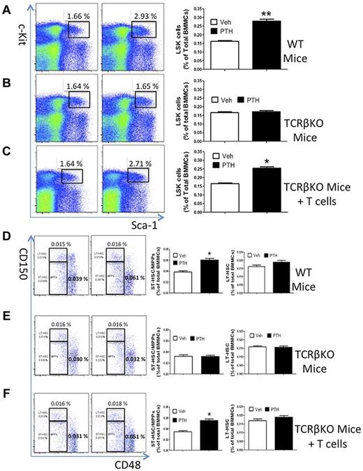 Figure 1. Effect of iPTH treatment on HSPC expansion in T cell-replete and T cell–deficient mice. (A-C) Effects of iPTH on the relative frequency of LSK cells in WT mice, TCRβKO mice, and TCRβKO mice previously subjected to adoptive transfer of T cells. Lin− cells were gated and analyzed for Sca-1 and c-Kit expression using isotype control settings. Left panels: Representative flow cytometric dot plots from 1 mouse per group. Black box represents c-Kit+ Sca-1+ cells. Parent population is Lin−. Data are expressed as percentage of total Lin− cells. Right panels: Mean ± SEM for each group. Data are expressed as percentage of total BM mononucleated cells (BMMCs). (D-F) Effects of iPTH on the relative frequency of CD150−CD48− LSK cells (ST-HSPCs/MPPs) and CD150+CD48− LSK cells (LT-HSPCs) in WT, TCRKO, and TCRβKO mice previously reconstituted with T cells. Left panels: Representative flow cytometric dot plots from 1 mouse per group using the SLAM receptors CD150 and CD48. Parent population is Lin−Sca1+c-Kit+. Upper boxes represent LT-HSPCs; and lower boxes, ST-HSPCs + MPPS. Right panels: Mean ± SEM for each group. Data are expressed as percentage of BMMCs. n = 10 mice per group. *P < .05 versus the corresponding vehicle-treated group. **P < .01 versus the corresponding vehicle-treated group.