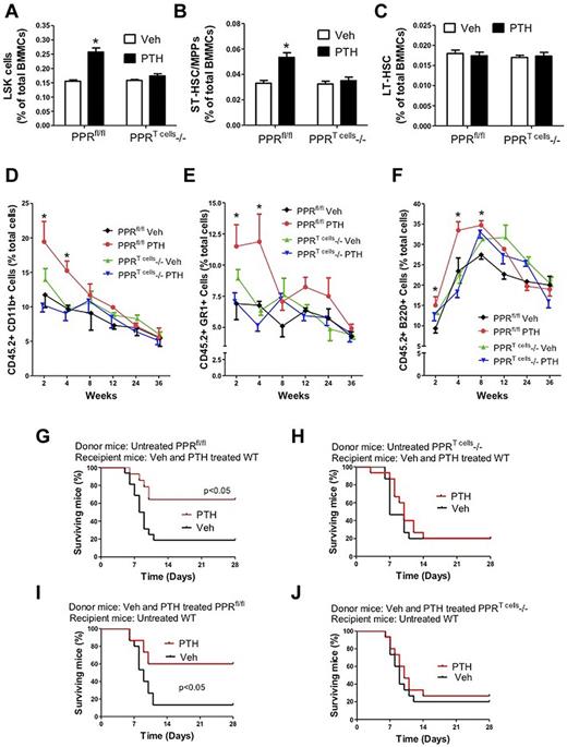 Figure 4. Analysis of the effects (mean ± SEM) of iPTH treatment in PPRT cells−/− and control mice of 6 weeks of age. (A) Effects of iPTH on the relative frequency of BM LSK cells. (B-C) Effect of iPTH on the relative frequency of ST-HSPCs/MPP and LT-HSPCs. (D-F) Effect of iPTH on peripheral blood cell expansion after primary competitive repopulation. The percentages of CD11b+, GR-1+, and B220+ cells in the peripheral blood of untreated WT recipient mice are shown. Recipient mice received CD45.2+ BM donor cells from control or PPRT cells−/− mice (treated with vehicle or iPTH) mixed in a 1:2 ratio with CD45.1+ competitor BM cells from untreated WT mice. (G-J) Kaplan-Meier survival analysis of WT mice transplanted with limiting number of BM cells derived from PPRT cells−/− and control (PPRfl/fl) mice. (G-H) Donor mice were untreated. Recipient mice were treated with vehicle or iPTH for 4 weeks. (I-J) Donor mice were treated with vehicle or iPTH for 4 weeks. Recipient mice were untreated. n = 10-15 in each group. *P < .05 versus the corresponding vehicle-treated group.