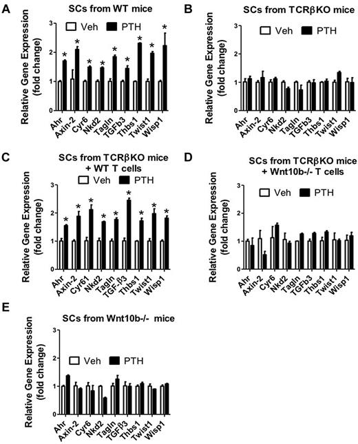 Figure 5. Effect (mean ± SEM) of iPTH on the SC expression of mRNA of genes known to be up-regulated by Wnt signaling and Jagged1. BM harvested at death was cultured for 1 week. SCs were purified, and mRNA levels determined by real-time RT-PCR. SCs were obtained from WT mice, TCRβKO mice, TCRβKO mice previously subjected to adoptive transfer of WT or Wnt10b−/− T cells, and Wnt10b−/− mice. (A-E) The Wnt-dependent analyzed genes were aryl-hydrocarbon receptor (Ahr), Axin, cystein rich protein 61 (Cyr61), naked cuticle 2 homolog (Nkd2), transgelin (TagIn), transforming growth factor β 3 (TGFβ3), thrombospondin 1 (Thbs1), Twist gene homolog 1 (Twst1), and Wnt1 inducible signaling pathway protein 1 (Wisp1) and Jagged1. n = 5 mice per group. *P < .05 versus the corresponding vehicle-treated group.
