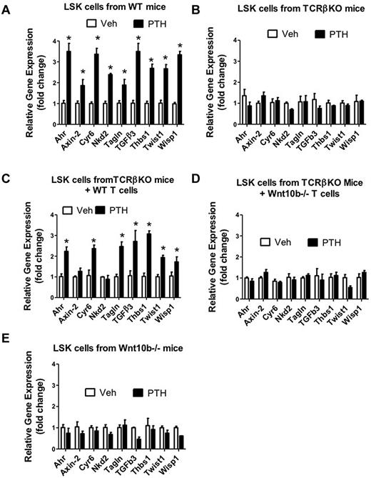 Figure 6. Effect (mean ± SEM) of iPTH on the LSK cell expression of mRNA of genes known to be up-regulated by Wnt signaling. LSK cells were purified by FACS sorting from the BM of vehicle and iPTH-treated WT mice, TCRβKO mice, TCRβKO mice previously subjected to adoptive transfer of WT or Wnt10b−/− T cells, and Wnt10b−/− mice. The Wnt-dependent analyzed genes were the same as shown in Figure 5. n = 6 mice per group. *P < .05 versus the corresponding vehicle-treated group.