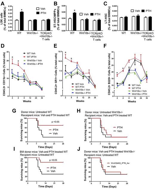 Figure 7. Analysis of the effects (mean ± SEM) of iPTH treatment in WT and Wnt10b−/− mice. (A) Effects of iPTH on the relative frequency of BM LSK cells. (B-C) Effect of iPTH on the relative frequency of ST-HSPCs/MPP and LT-HSPCs. (D-F) Effect of iPTH on peripheral blood cell expansion after primary competitive repopulation. The percentages of CD11b+, GR-1+, and B220+ cells in the peripheral blood of untreated WT recipient mice are shown. Recipient mice received CD45.2+ BM donor cells from vehicle- and iPTH-treated WT and Wnt10−/− mice mixed in a 1:2 ratio with CD45.1+ competitor BM cells from untreated WT mice. (G-J) Kaplan-Meier survival analysis of WT mice transplanted with limiting number of BM cells derived from WT and Wnt10b−/− mice. (G-H) Donor mice were untreated. Recipient mice were treated with vehicle or iPTH for 4 weeks. (I-J) Donor mice were treated with vehicle or iPTH for 4 weeks. Recipient mice were untreated. n = 10 in each group. *P < .05 versus the corresponding vehicle-treated group.