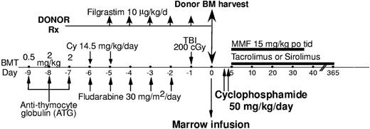 Figure 1. Conditioning schema. Patients 1 and 2 did not receive ATG. Patients 1 to 10 received tacrolimus and patients 11 to 17 received sirolimus. Patients 15 to 17 received G-CSF–primed bone marrow (see “Protocol evolution”).
