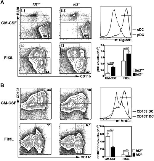 Figure 6. Roles for Id2 in ex vivo generation of pDCs and CD103+ DCs. CD45.1+ BM cells from Id2−/− or Id2+/+ chimeric mice were cultured with GM-CSF or Flt3L for 6 days, as indicated. The proportion and absolute number of pDCs (A) and CD103+ DCs (B) were determined by flow cytometry and enumeration. Surface expression of SiglecH on pDCs derived from Flt3L cultures (A) and MHC II on CD103+ DCs derived from GM-CSF cultures (B) was analyzed to confirm cell identity; similar expression patterns were observed in GM-CSF (SiglecH on pDCs) or Flt3L (MHC II on CD103+ DCs) conditions (not shown). Results represent data from 3-6 independent experiments. DC numbers shown are mean ± SEM values of 3-6 independent experiments.