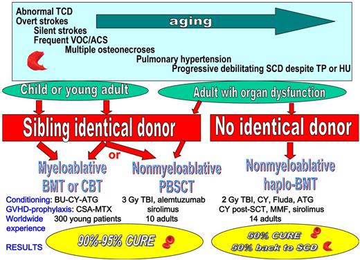 The choice of HSCT protocol will depend on the availability of an identical donor, the patient's age, the severity of SCD, and its consequences on the degree of organ dysfunction. TCD indicates transcranial Doppler; VOC, vaso-occlusive crises; ACS, acute chest syndrome; TP, transfusion program; HU, hydroxyurea; BMT, bone marrow transplantation; CBT, cord blood transplantation; PBSCT, peripheral blood stem cell transplantation; TBI, total body irradiation; Fluda, Fludarabin; MMF, mycophenolate mofetil; BU, busulfan; CY, cyclophosphamide; MTX, methotrexate; and ATG, antithymoglobulin.