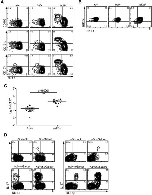 Figure 2. Increased percentages of NKT17 cells in Th-POK–deficient mice. (A) Plots depict flow cytometric analyses of electronically gated Th-POKhd/hd and control splenic Vα14i NKT cells stained for NK1.1 and (top row) CD196, (middle row) CD121a, and (bottom row) CD103. (B) Plots depict flow cytometric analyses of Th-POK+/+, Th-POKhd/+, and Th-POKhd/hd liver Vα14i NKT cells stained for expression of NK1.1 and CD122. (C) Scatter plot displaying the numbers of NKT17 cells in the livers of littermate or age-matched pairs of Th-POKhd/hd and Th-POKhd/+ mice (n = 9). Each pair is represented by a unique symbol. The P value was calculated using a Student t test on the log-transformed values. (D) Plots depict IL-17 and NK1.1 expression (left set) or IL-17 and RORγT expression (right set) in electronically gated splenic Vα14i NKT cells from Th-POK+/+, Th-POKhd/+, and Th-POKhd/hd mice that were challenged with 2 μg of αGalCer, as well as a Th-POK+/+ mock-injected animal. Mice were injected 2.5 hours before harvesting of organs. All data are representative of at least 2 separate experiments and a total of at least 3 sets of Th-POKhd/hd and control mice.