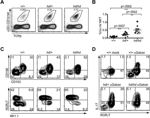 Figure 3. Reduction in Th-POK gene dosage results in increased NKT17 cells in the peripheral LN. (A) Plots depict representative staining of electronically gated CD19− peripheral LN cells from Th-POKhd/hd, Th-POKhd/+, and Th-POK+/+ mice with αGalCer-CD1d tetramers and anti-TCRβ mAbs. (B) Scatter plots depict the percentages of Vα14i NKT cells of total cells recovered from the peripheral LN of littermate or age-matched sets of Th-POKhd/hd, Th-POKhd/+ and Th-POK+/+ mice (n = 8). Each set of mice is represented by a unique symbol. P values were determined by paired Student t tests. (C) Plots depict staining of LN Vα14i NKT cells from Th-POKhd/hd, Th-POKhd/+, and Th-POK+/+ age-matched mice with antibodies against CD196 and CD103 (top row) or RORγT and NK1.1 (bottom row). Data are representative of 6 separate experiments. (D) Plots depict IL-17 and RORγT expression in electronically gated peripheral LN Vα14i NKT cells from Th-POK+/+, Th-POKhd/+, and Th-POKhd/hd mice that were challenged with 2 μg of αGalCer, as well as a Th-POK+/+ mock-injected animal. Mice were injected 2.5 hours before harvesting of organs. Data are representative of 2 separate experiments.