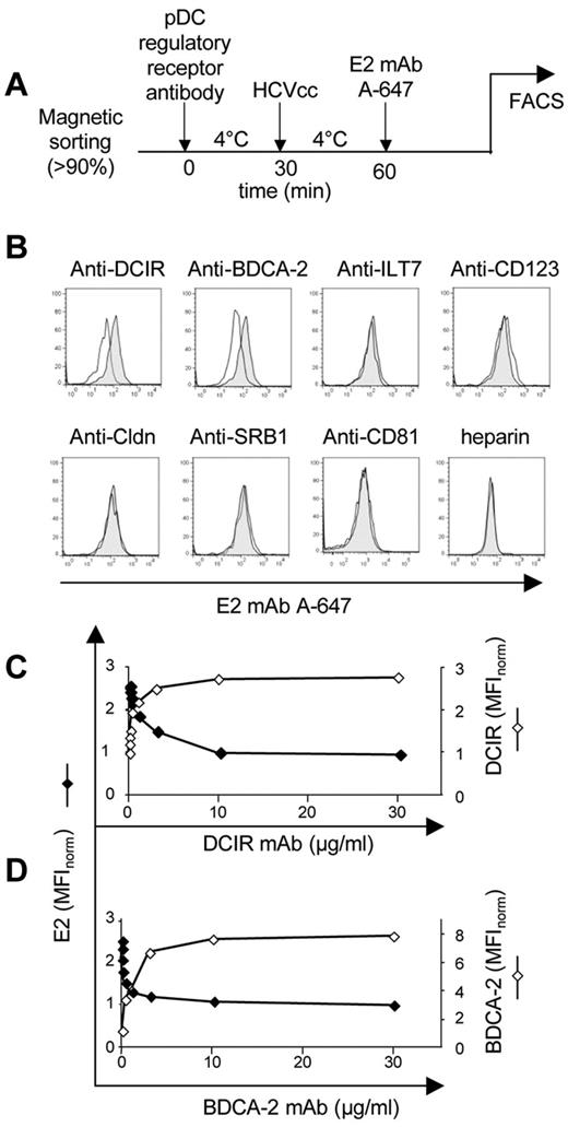 Figure 4. Anti-DCIR and BDCA-2 mAbs block binding of HCVcc particles to pDCs. (A) Experimental flowchart. (B) pDCs were pretreated with antibodies against BDCA-2 and DCIR, ILT7, CD123, claudin-1, SR-BI, and CD81, and heparin for 30 minutes at 4°C (full line) or control isotype antibody or heparin control (shadow area). HCVcc particles (MOIHCV RNA = 100) were added to antibody-treated pDCs in the presence of Ca2+ at 4°C, and the binding to pDCs was determined 30 minutes later by anti-E2 mAb conjugated with Alexa-647 and analyzed by flow cytometry. (C-D) Saturating curves of anti-DCIR (C) and anti–BDCA-2 (D) mAbs in pDCs (right ordinate). Relative median fluorescent intensity (MFI) of anti-DCIR and anti–BDCA-2 was normalized to 1 at 0 μg/mL of respective antibodies. Inhibition of HCVcc binding by anti-DCIR (C) and anti–BDCA-2 (D; left ordinate). Representative result of one of 3 experiments is shown. Relative MFI of anti-E2 mAb was normalized to 1 at 30 μg/mL of anti-DCIR and anti–BDCA-2.