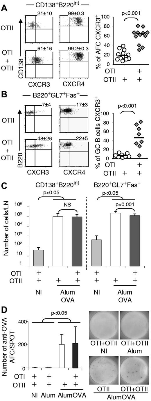 Figure 1. OTI cells induce CXCR3 expression on AFCs and GC B cells. Chimeras were constructed in CD45.2+ C57BL6 mice by transfer of CD45.1+ OTII cells or CD45.1+ OTII + OTI cells. These chimeras were immunized with alumOVA or alumPBS in both footpads, or left nonimmunized (NI). Seven days after immunization, cell suspensions were prepared from the 2 popliteal LN. The expression of CXCR3 and CXCR4 was assessed by flow cytometry on CD138+B220int AFCs (A) and B220+GL7+Fas+ GC B cells (B). The numbers on FACS plots represent the percentages of AFC (A) or GC B cells (B) expressing CXCR3 or CXCR4. (C) Geometric mean ± SD of CD138+B220int AFCs (left) and B220+GL7+Fas+ CG B cells (right) per popliteal LN in the different types of chimeras. These data are derived from 2-5 independent experiments with a total of 4-12 mice per group. (D) OVA specificity of FACS-sorted CXCR3− or CXCR3+ AFCs isolated from, respectively, OTII-only or OTII + OTI chimeras day 7 after alumOVA, or of total AFCs from OTII + OTI chimeras NI or at 7 days after alumPBS in footpads was assessed by ELISPOT. Mean ± SD are representative of 3 independent experiments involving 6 mice per group. In both OTII-only or OTII + OTI chimeras immunized with alumOVA, one-third of the plated AFCs could be detected as OVA-specific, although none of the AFCs sorted from NI or alum-immunized OTII + OTI chimeras were detected as OVA-specific. The significance of differences is assessed by 2-tailed Mann-Whitney nonparametric statistics. NS indicates not significant.