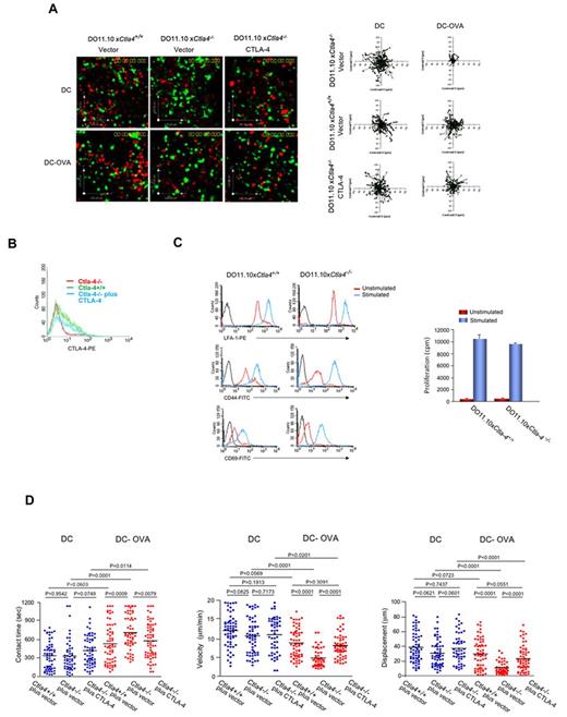 Figure 1. CTLA-4 reverses TCR stop-signal and limits T cell/DC dwell-times in Ctla4+/+ DO11.10 T cells. Ctla4+/+ T cells fail to stop in response to DC-OVA peptide in contrast to Ctla4−/− T cells. GFP-vector or GFP-CTLA-4, CD4-positive T cells from Ctla4+/+ and Ctla4−/− DO11.10 TCR Tg mice were preactivated with plate-bound anti-CD3/CD28 antibodies for 48 hours, transfected and then rested for 24 hours. Cells were tracked for migration on LN slices as described.35 Ctla4−/− cells plus CTLA-4 represents Ctla4−/− T cells transfected with mouse GFP-CTLA-4. Ctla4−/− cells plus vector represents Ctla4−/− T cells transfected with pEGFP. T cells were seeded with DCs alone or with DCs that had been preincubated with OVA peptide (DC-OVA). Dwell-times were followed on syngeneic LNs in the presence of SNARF-1 labeled DCs (see supplemental Video 1). (A) Tracing of the migration of Ctla4+/+, Ctla4−/−, and GFP-CTLA-4 transfected Ctla4−/− T cells on LN slices. T-cell tracks have been superimposed from their starting positions. (B) CTLA-4 expression in transfected Ctla4−/− T cells. Ctla4−/− CD4-positive T cells were transfected with CTLA-4-GFP and assessed for expression by FACS. (C) Left panel: Unstimulated or anti-CD3/CD28 stimulated Ctla4+/+ and Ctla4−/− DO11.10 CD4-positive T cells for 48 hours followed by resting for 24 hours were stained with anti–LFA-1-PE, anti–CD44-APC or anti–CD69-APC. Right panel: 3H-thymidine incorporation of unstimulated and anti-CD3/CD28 stimulated DO11.10 CD4-positive Ctla4+/+ and Ctla4−/− T cells. (D) Ctla4+/+, Ctla4−/−, and GFP-CTLA-4 transfected Ctla4−/− DO11.10 CD4-positive T cells were seeded with SNARF-1 labeled DCs alone or with DCs that had been preincubated with OVA peptide (DC-OVA). Migration on LN slices was monitored over a time period of 20 minutes. Left panel: Contact times of Ctla4+/+, Ctla4−/−, and GFP-CTLA-4 transfected Ctla4−/− T cells with DCs in the presence and absence of OVA peptide on LN slices. Middle panel: Ctla4+/+, Ctla4−/−, and GFP-CTLA-4 transfected Ctla4−/− T-cell velocities with DCs in the presence and absence of OVA peptide on LN slices. Right panel: Measurements of displacement of Ctla4+/+, Ctla4−/−, and GFP-CTLA-4 transfected Ctla4−/− T cells with DCs in the presence and absence of OVA peptide on LN slices. Differences between means were tested using 2-tailed Student t test (GraphPad Prism 5.0). P < .05 was considered significant. Data are representative of 6 separate experiments.