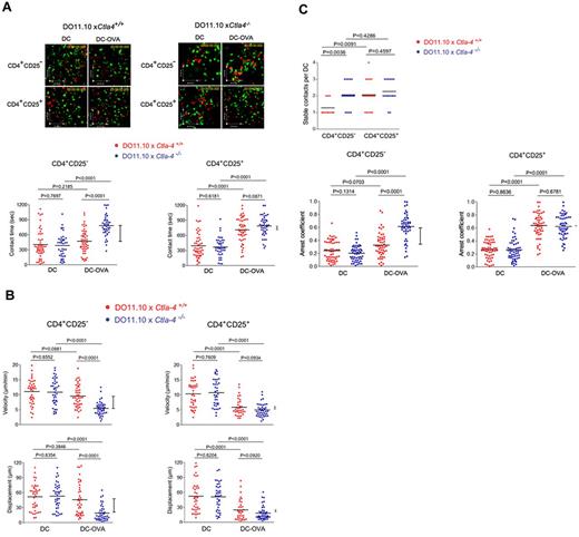 Figure 4. CD4+ CD25+ Tregs on LNs slow in response to OVA peptide in a CTLA-4–independent manner. (A) Dwell times of Ctla4+/+ and Ctla4−/− CD4+ CD25− Tcons and CD4+ CD25+ Tregs on LNs in response to OVA peptide. Anti-CD3/CD28 activated CD4+ CD25+ and CD4+ CD25− T cells from Ctla4+/+ and Ctla4−/− x DO11.10 Tg mice were labeled with CFSE and tracked for migration on LN slices as described (see supplemental Videos 2-3).38 T cells were seeded with DCs alone or with DCs that had been preincubated with OVA peptide (DC-OVA). Dwell-times were followed on syngeneic LNs in the presence of SNARF-1 labeled DCs. Bottom left panel: Ctla4−/− CD4+ CD25− T cells show significantly longer contact times than Ctla4+/+ CD4+ CD25− T cells in the presence of DC-OVA. Bottom right panel: Ctla4−/− and Ctla4+/+CD4+ CD25+ T cells show comparable contact times in the presence of DC-OVA. (B) Velocity and displacement of Ctla4+/+ and Ctla4−/− CD4+ CD25− Tcons and CD4+ CD25+ Tregs on LNs in response to OVA peptide. Left panel: Ctla4−/− CD4+ CD25− T cells move significantly slower than Ctla4+/+ CD4+ CD25− T cells in the presence of DC-OVA. Right panel: Ctla4−/− and Ctla4+/+ CD4+ CD25+ T cells show comparable velocities in the presence of DC-OVA. Bottom left panel: Ctla4−/− CD4+ CD25− T cells show significantly reduced displacement compared with Ctla4+/+ CD4+ CD25− T cells in the presence of DC-OVA. Bottom right panel: Ctla4−/− and Ctla4+/+ CD4+ CD25+ T cells show comparable displacement measurements in the presence of DC-OVA. (C) Stable contacts and arrest coefficients of Ctla4+/+ and Ctla4−/− CD4+ CD25− Tcons and CD4+ CD25+ Tregs on LNs in response to OVA peptide. Top panel: Ctla4−/− CD4+ CD25− T cells show significantly more stable contacts with DCs than Ctla4+/+ CD4+ CD25− T cells in the presence of DC-OVA. Ctla4−/− and Ctla4+/+ CD4+ CD25+ T cells show similar behavior for stable T cell/DC interaction. Bottom left panel: Ctla4−/− CD4+ CD25− T cells show a significant higher arrest coefficient than Ctla4+/+ CD4+ CD25− T cells. Bottom right panel: Ctla4−/− and Ctla4+/+ CD4+ CD25+ T cells show similar arrest coefficients. Differences between means were tested using 2-tailed Student t test (GraphPad Prism 5.0). P < .05 was considered significant; *P < .05; **P < .01; ***P < .001. Data are representative of 3 separate experiments.
