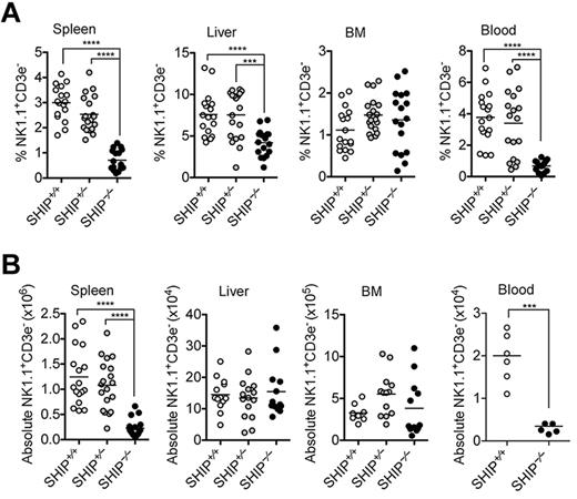 Figure 1. Loss of peripheral NK cells in SHIP−/− mice. (A) Percentages of the indicated organs containing NK cell (NK1.1+CD3− in the lymphocyte gate) populations in the indicated organs from SHIP+/+ (white circles), SHIP+/− (gray circles), and SHIP−/− (black circles) mice. Data are pooled from at least 8 independent experiments, and each dot represents data obtained from 1 mouse; horizontal lines indicate the mean. (B) Total NK cell numbers of the indicated organs. Data are pooled from at least 3 independent experiments, and each dot represents data obtained from one mouse; horizontal lines indicate the mean.