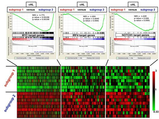 Figure 6. GSEA of MYC, NOTCH1, and IRF4 target gene sets in the 2 molecular subgroups of cHL identified by unsupervised hierarchical clustering. Top: The overall expression of the target gene sets of the MYC, IRF4, and NOTCH1 transcription factors (composing 469, 76, and 44 genes, respectively) was found by GSEA to be significantly up-regulated in the profiles of microdissected HRS cells belonging to one cHL subgroup (subgroup 2; n = 8 cases) versus the other cHL subgroup (subgroup 1; n = 8 cases) emerging on unsupervised hierarchical clustering (Figure 1; supplemental Figure 4). The 44 NOTCH1 target genes in T-ALL cells are those genes whose promoters are bound by NOTCH1 and are down-regulated on pharmacologic NOTCH1 inhibition in T-ALL lines with mutated NOTCH1.38 Bottom: Heat map of the expression pattern in the individual primary HRS cell samples of the leading-edge genes (ie, those genes most contributing to the enrichment of each gene set: 264 MYC targets, 42 IRF4 targets, and 27 NOTCH1 targets) whose probe sets show ≥ 1.5-fold mean up-regulation in cHL subgroup 2. The color code of the heat map is shown by the bar on the right.