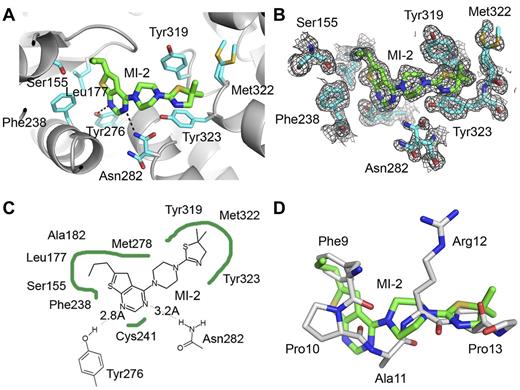 Figure 2. Crystal structure of the menin–MI-2 complex. (A) Details of MI-2 interaction with menin. Selected menin side chains are shown in sticks (cyan carbons) and hydrogen bonds are shown as dashed lines. (B) Menin-MI-2 complex determined at 1.56 Å resolution with corresponding 2Fo-Fc electron density map contoured at the 1σ level. (C) Diagram depicting VdW contacts and hydrogen bonds (dashed lines) between MI-2 and menin. (D) Superposition of MI-2 (green carbons) with a fragment of the MBM1 motif (MLL residues 9-13, gray carbons) in a menin-bound conformation.