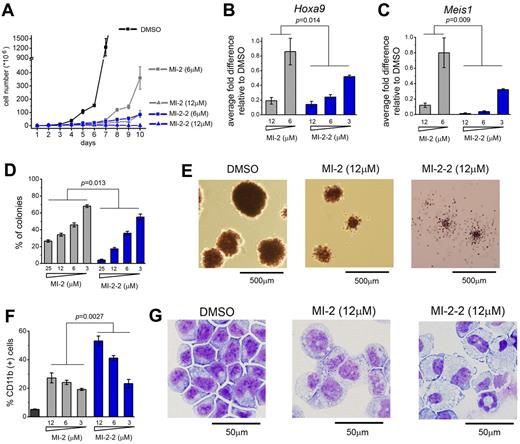 Figure 5. Second-generation inhibitor MI-2-2 exhibits strongly enhanced cellular activities compared with MI-2. (A) Growth curves for MLL-AF9 transduced BMC grown in liquid culture treated with DMSO, MI-2, and MI-2-2. The experiment was performed 2 times. (B-C) Quantitative real-time PCR showing the expression of Hoxa9 (B) and Meis1 (C) in MLL-AF9–transduced BMCs over the 6 days of treatment with MI-2 and MI-2-2. Expression of Hoxa9 and Meis1 has been normalized to β-actin and is referenced to the DMSO-treated cells. Data represent the mean values for duplicates ± SD. The experiment was performed 3 times. (D) Colony counts for methylcellulose colony assay performed with MLL-AF9–transduced BMCs treated for 7 days with MI-2-2 and MI-2-2. Error bars indicate SD from duplicate experiments; experiments were performed 2 times. (E) Representative colonies shown for DMSO-, MI-2-, and MI-2-2–treated MLL-AF9–transduced BMCs plated on methylcellulose. Black lines represent the scale bars (500 μm). (F) Quantification of CD11b expression in MLL-AF9 transduced BMC treated for 6 days with the menin-MLL inhibitors as detected by flow cytometry. Data represent the mean values for duplicates ± SD. The experiment was performed 2 times. (G) Wright-Giemsa–stained cytospins for MLL-AF9–transformed BMCs after 7 days of treatment with DMSO, MI-2 (12μM), and MI-2-2 (12μM). Black lines represent the scale bars (50 μm). Statistical analysis and calculation of P values was performed using 2-way ANOVA.