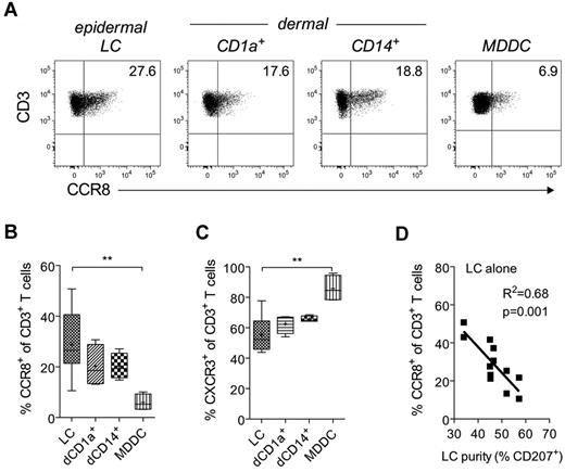 Figure 3. Induction of CCR8 expression by cutaneous DCs. Purified allogeneic naive T cells were cocultured for 9 days with MACS-enriched epidermal LCs, dermal CD1a+ DCs, dermal CD14+ DCs, or mature MDDCs at a ratio of 10:1. (A) Representative dot plots for CCR8 expression on gated CD3+ T cells. (B-C) Combined expression data for CCR8 and CXCR3 from 2-6 independent experiments. Horizontal lines indicate the median; and +, the mean. **P < .01, comparing T cells stimulated with LCs versus MDDCs. (D) The percentage of CD3+ T cells expressing CCR8 after coculture for 9 days with epidermal LCs from each donor (n = 12) is plotted against LC purity as defined by the percentage of epidermal cells expressing CD207 (Langerin) after MACS enrichment.