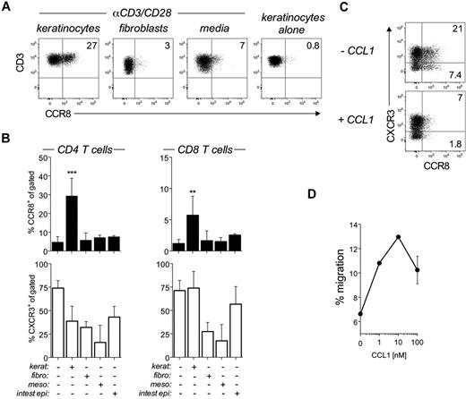 Figure 4. Regulation of CCR8 expression by epidermal keratinocytes. (A-B) Peripheral blood naive T cells were left unstimulated (keratinocytes alone) or stimulated with αCD3/CD28 beads for 6 days alone (media) or in coculture with epidermal keratinocytes (kerat), dermal fibroblasts (fibro), mesothelial cells (meso), or small intestinal epithelial cells (intest epi). (A) Representative flow cytometric dot plots showing CCR8 expression on gated CD3+ T cells after 6 days. (B) Combined expression data for CCR8 and CXCR3 by CD4+ (left panels) and CD8+ T cells (right panels) from all cocultures are plotted as mean ± SD from 2-4 independent experiments. **P < .01, comparing cocultures versus beads alone. ***P < .001, comparing cocultures versus beads alone. (C) Naive T cells cocultured with primary keratinocytes for 6 days were harvested and either left untreated or treated with 100nM CCL1 for 30 minutes at 37°C before staining for CCR8 expression. Representative dot plots of CCR8 versus CXCR3 expression on gated CD3+ T cells. (D) Transwell migration of CD4+ T cells toward 0, 1, 10, or 100nM CCL1 after activation in the presence of keratinocytes for 6 days. The numbers of migrating cells or calculated as a percentage of input cells and plotted as mean ± SD. Results shown are representative of 3 independent experiments with similar results.