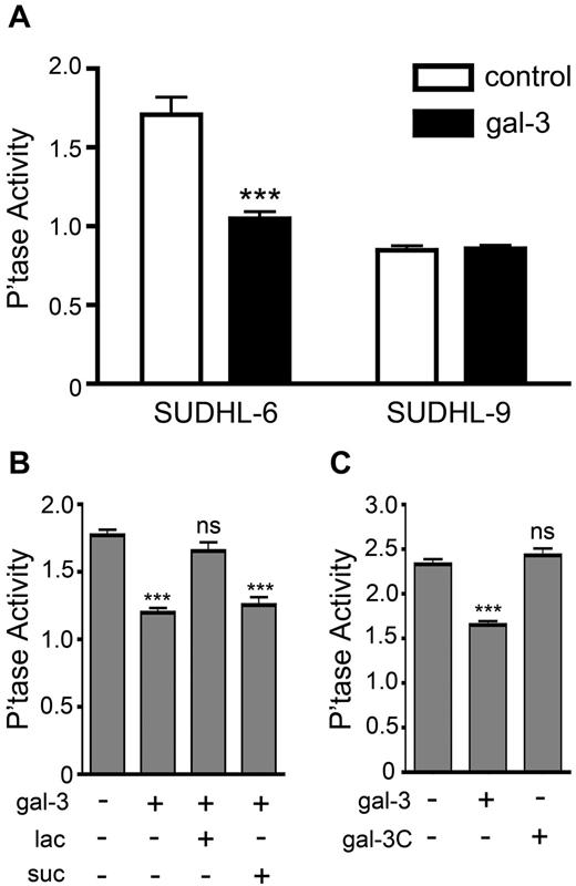 Figure 6. Exogenous gal-3 binding to CD45 reduces tyrosine phosphatase activity. (A) SUDHL-6 and SUDHL-9 cells were treated with 5μM gal-3 and intracellular tyrosine phosphatase activity determined spectrophotometrically. Exogenous gal-3 significantly decreased phosphatase activity in SUDHL-6 cells, but had no effect on phosphatase activity in SUDHL-9 cells (***P < .0001). (B) Gal-3 reduction of CD45 phosphatase activity is glycan dependent. Gal-3 was preincubated with 100mM lactose or sucrose or with buffer control for 15 minutes at 37°C before treatment of SUDHL-6 cells. Although treatment with gal-3 alone or gal-3 plus sucrose significantly reduced phosphatase activity (***P < .0001), no reduction in phosphatase activity was seen in cells treated with gal-3 plus lactose to block gal-3 binding. (C) Multimerization of gal-3 is required to reduce phosphatase activity. Gal-3C is the C-terminal domain of gal-3 that lacks the N-terminal peptide required for multimerization. SUDHL-6 cells were treated with gal-3 or gal-3C and assayed for phosphatase activity. Although gal-3 significantly reduced phosphatase activity (***P < .0001), gal-3C did not affect phosphatase activity. Values are mean ± SD for triplicates from 1 representative of 3 independent replicate experiments.