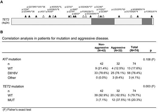 Figure 1. TET2 mutations in human mastocytosis patient cohort. (A) The TET2 gene with conserved regions shaded in gray. Mutations sequenced in patient samples are indicated by triangles (▵). Mutations that were found in combination with at least 1 other TET2 mutation are indicated by a closed triangle (▴). (B) Correlation analysis for mutation and aggressive disease in 74 patients diagnosed with mastocytosis as defined by WHO criteria and enrolled in a prospective national multicenter study 2005-2011.