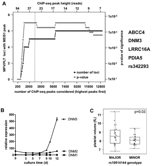 Figure 2. DNM3 harbors MEIS1 binding sites and is associated with differences in MPV. (A) Co-occurrence of MPV and PLT count association SNPs with MEIS1 ChIP-seq peaks. (B) Transcript levels of DNM genes during in vitro differentiation of MKs from human cord blood CD34+ cells, as measured by quantitative real-time RT-PCR (n = 3). Error bars represent SD. (C) MPV of the PLTs of persons according to genotype for sentinel SNP rs10914144 (n = 26 of 26). Mann-Whitney test: P = .03.