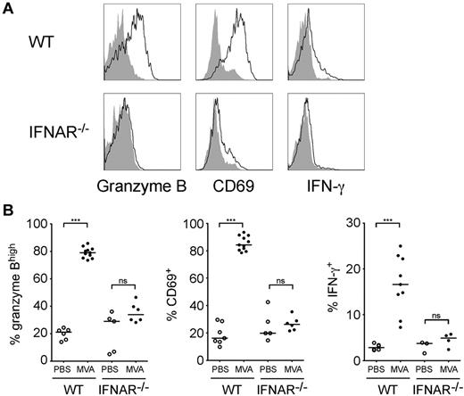 Figure 2. IFNAR signaling is required for MVA-induced NK cell activation. WT or IFNAR−/− mice were injected in the footpad with 5 × 106 pfu of MVA or with PBS. After 16 hours, NK cells in the draining lymph node were analyzed for CD69 and for intracellular granzyme B and IFN-γ. (A) Representative FACS profiles showing granzyme B, CD69, and IFN-γ staining in NK cells. Data are gated on NK1.1+CD3− cells. (B) The percentages of granzyme Bhigh, CD69+ and IFN-γ+ NK cells (NK1.1+CD3− cells) are compiled for WT and IFNAR−/− recipients treated or not with MVA. Each dot represents an individual mouse. Data are compiled from 2 to 3 independent experiments (***P < .001).