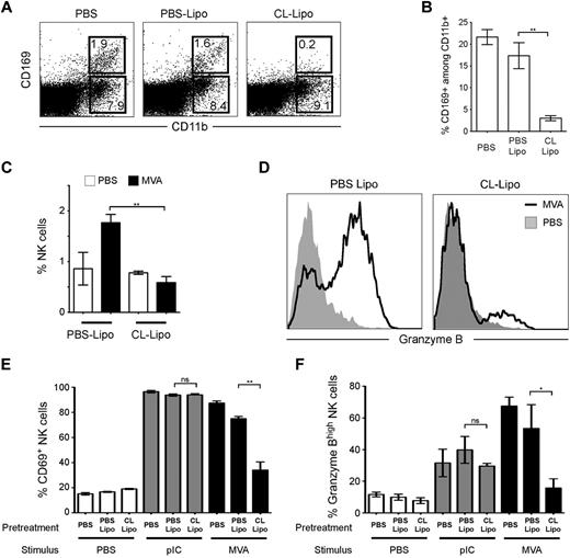 Figure 4. Subcapsular macrophages are required for NK cell activation by MVA but not by poly I:C. WT mice were treated with PBS or with clodronate (CL-Lipo) or control liposomes (PBS-Lipo) in the footpad to deplete SCS macrophages in the draining popliteal lymph node. (A-B) Depletion of CD169+ cells was assessed by flow cytometry 6 days after liposome treatment. Numbers correspond to percentage of cells falling in the indicated gate. (C-D) PBS-Lipo or CL-Lipo treated mice were injected with MVA (or PBS) in the footpad. (C) NK cell accumulation mediated by MVA was assessed after 24 hours. (D) Intracellular granzyme B content was measured in NK cells (NK1.1+ CD3−). Note that NK cell activation mediated by MVA was strongly reduced in CL-Lipo treated mice. (E-F) CL-Lipo–mediated depletion prevents NK cell activation by MVA but not by poly I:C. The percentage of CD69+ (E) and of Granzyme Bhigh (F) NK cells are shown for the indicated treatments and stimuli. Data are representatative of 3 independent experiments (*P < .05; **P < .01).