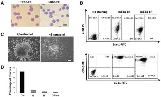 Figure 1. Characterization of ESC-derived immortalized myeloid progenitors. (A) Wright-Giemsa staining of mEB8-ER (left) or mBB8-ER (right) cells. Bar represents 10 μm. (B) Surface expression of Sca-1, c-Kit, CD45, and CD41 in mEB8-ER and mBB8-ER cells assessed with flow cytometry. Nonspecific IgG was used as a negative control (denoted as “No staining”). (C) Analysis of EB8-ER cells using the CFU assay. Phase-contrast images of cells with (left) or without (right) β-estradiol treatment. (D) The relative percentage of GM, G, and M colonies formed from mEB8-ER cells in the absence of β-estradiol. Quantification of 4 separate experiments. Each represents the mean ± SEM (error bars). (C-D) Cells were cultivated in MethoCult GF M3434 medium for 10 days. Bar represents 50 μm.
