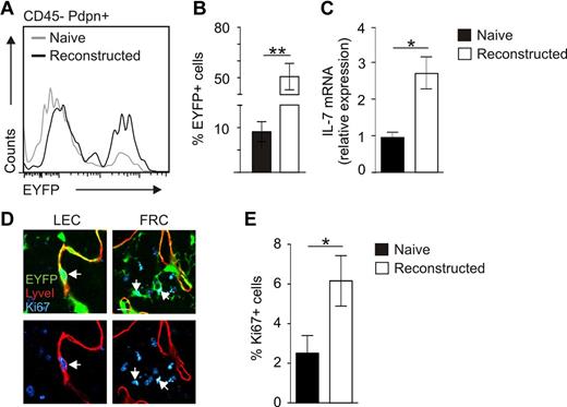 Figure 6. Assessment of stromal cell proliferation during posttransplantation LN reconstruction. (A) Stromal cells from pretransplantation (naive, gray line) inguinal LNs and reconstructed LNs (black line) were analyzed for EYFP expression on CD45−Pdpn+ stromal cells by flow cytometry. (B) Percentage of EYFP-expressing stromal cells within CD45− cells (mean ± SEM; n = 6 LNs). **P < .01. (C) IL-7 mRNA expression as determined by RT-PCR analysis from CD45− cells (mean ± SEM; n = 3 LNs). *P < .05. (D) Ki67 expression in transplanted IL-7–CrexR26-EYFP LNs. Left panels: Ki67+ LECs (arrow). Right panels: Ki67+ FRCs (blue represents Ki67; red, LyveI; and green, EYFP). Scale bar represents 10 μm. (E) Percentage of Ki67+ transgene-expressing cells in naive and reconstructed LNs. Evaluation of 10 high power fields per LN (mean ± SEM; n = 4 LNs). *P < .05.