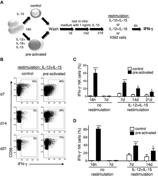 Figure 1. Preactivation with IL-12 + IL-18 results in human memory-like NK cells with enhanced IFN-γ production after restimulation. (A) Schema of experimental approach with IL-12 + IL-18 preactivation. In later experiments, preactivated was varied as indicated. (B-C) PBMCs (containing 13% ± 5% CD56+CD3− NK cells) were preactivated for 16 hours with control (IL-15, 1 ng/mL), or IL-12 (10 ng/mL) + IL-18 (50 ng/mL) + IL-15 (1 ng/mL). Cells were then washed 3 times to remove preactivating cytokines and cultured with low-dose IL-15 (1 ng/mL) to support survival for 7, 14, or 21 days. After each time point, cells were washed, restimulated for 6 hours with IL-12 (10 ng/mL) + IL-15 (100 ng/mL), and assayed for NK cell IFN-γ production by intracellular flow cytometry. (B) Representative bivariate flow plots from control and IL-12 + IL-18–preactivated NK cells showing IFN-γ production after IL-12 + IL-15 restimulation on days 7, 14, or 21 (gated on live CD45+CD56+CD3− NK cells). (C) Summary data shown as means ± SEM percentage of IFN-γ+ NK cells. NK cells were assessed without restimulation immediately after preactivation (16 hours; n = 6; 3 independent experiments) to confirm that NK cells were preactivated or after 7 days of rest to demonstrate a return to a resting state (n = 8; 4 independent experiments). After 7 (n = 8; 4 independent experiments), 14 (n = 4; 2 independent experiments), or 21 (n = 4; 2 independent experiments) days, NK cells were restimulated with IL-12 + IL-15 for 6 hours and assayed for IFN-γ production. (D) Purified NK cells exhibit memory-like properties. Experiments were performed as in panels A-C, but with purified NK cells without restimulation (n = 6, 3 independent experiments for 16 hours; n = 12, 4 independent experiments for 7 days) and after IL-12 + IL15 restimulation for 7 days (n = 12; 4 independent experiments) or 14 days (n = 6; 3 independent experiments). Purified NK cells were ≥ 95% CD56+CD3− with < 0.5% CD3+ T cells. *P < .05; **P < .01; ***P < .001.