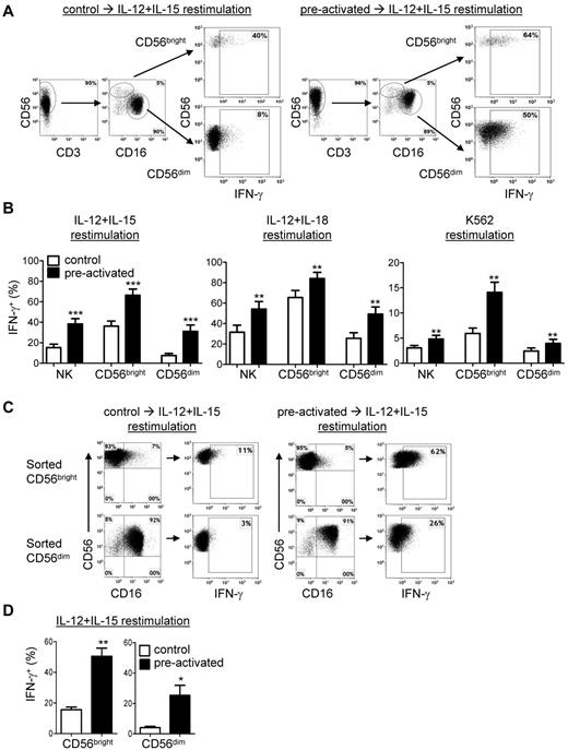 Figure 2. CD56bright and CD56dim NK cell subsets exhibit memory-like properties after IL-12 + IL-18 preactivation. (A-B) CD56bright and CD56dim NK subsets in purified NK cell (≥ 95% CD56+CD3−) cultures exhibit memory-like IFN-γ production. (A) Representative data from control and IL-12 + IL-18–preactivated NK cells demonstrating the NK subset analysis gating strategy and differential IFN-γ production after the 7-day rest and a 6-hour IL-12 + IL-15 restimulation. (B) Summary data demonstrating that IL-12 + IL-18–preactivated CD56bright and CD56dim NK cells exhibit a memory-like IFN-γ response after restimulation with IL-12 + IL-15, IL-12 + IL-18, or K562 leukemia cells. Purified (≥ 95% CD56+CD3−) NK cells were cultured as in Figure 1A for 7 days and restimulated with cytokines or K562 (4:1 effector: target ratio) as indicated for 6 hours and then assayed for IFN-γ. Data shown are the means ± SEM percentage of IFN-γ+ NK cells, gated on CD56bright or CD56dim subsets, with n = 12 donors (4 independent experiments) for IL-12 + IL-15 restimulation, n = 6 donors (3 independent experiments) for IL-12 + IL-18 restimulation, and n = 9 donors (4 independent experiments) for K562 restimulation. (C-D) Flow-sorted CD56bright and CD56dim NK cells cultures exhibit memory-like IFN-γ production. (C) NK cell subsets were flow sorted (≥ 99% purity) and then preactivated as per Figure 1A, rested for 7 days, restimulated (6 hours) with IL-12 + IL-15, and stained for intracellular IFN-γ. The NK cell subset phenotype was retained in each sorted population after 7 days of culture. (D) Summary data are shown as means ± SEM of the percentage of IFN-γ+ sorted CD56bright and CD56dim NK cells after 7 days of rest followed by 6 hours of restimulation with IL-12 + IL-15 (n = 6; 3 independent experiments). *P < .05; **P < .01; ***P < .001.