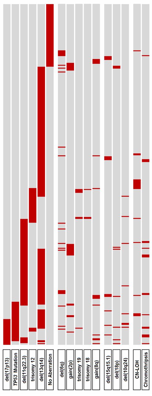 Figure 6. Distribution of genetic alterations. Primary categorization (top 6 lines) is according to the hierarchical model of genomic aberrations (with inclusion of TP53 mutational status).