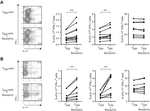 Figure 3. Basophils increase the proportion of IL-17+/IFN-γ+ and IL-17+/IFN-γ− but not IL-17−/ IFN-γ+ cells in TEM and TCM. TEM and TCM cells were cultured with or without basophils in the presence of IL-33. TEM were stimulated by IL-2 (A) and TCM were stimulated by anti-CD3/28–coated beads (B). After 5 days, cells were restimulated with PMA for 6 hours and IL-17 and IFN-γ expression was examined using intracytoplasmic staining. **P < .01.