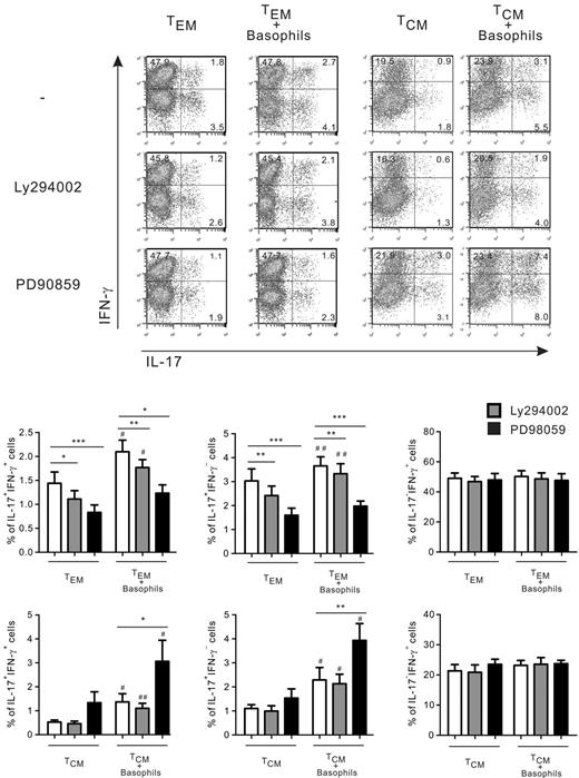 Figure 4. The MAPK/ERK but not the PI3K pathways are involved in the increase by basophils of IL-17+/IFN-γ− and IL-17+/ IFN-γ+ T cells in TEM and TCM. TEM stimulated by IL-2 and TCM stimulated by anti-CD3/28–coated beads were cultured in the presence of IL-33 with or without basophils and in the absence or presence of PI3K inhibitor (LY294002 at 2μM) or ERK1/2 inhibitor (PD98059 at 20μM). Shown is intracytoplasmic staining for IL-17 and IFN-γ expression after PMA ionomycin restimulation for 6 hours. Data represent means ± SEM for 6 donors. *,#P < .05; **,##P < .01; ***P < .001 (* indicates cultures ± inhibitors and #, cultures ± basophils).