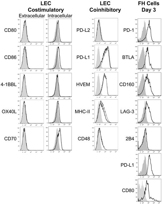 Figure 1. LECs fail to express costimulatory ligands but express numerous inhibitory ligands while activated FH cells express the pertinent inhibitory receptors. gp38+CD31+ LECs were stained intracellularly or extracellularly for the expression of the costimulatory ligands CD80, CD86, 4-1BBL, OX40L, and CD70 and extracellularly for the inhibitory ligands PD-L2, PD-L1, HVEM, MHC-II, and CD48 under steady-state conditions or 3 days after transfer of FH cells. FH cells were transferred into tyrosinase+ recipients and examined 3 days after transfer for the expression of the inhibitory receptors PD-1, BTLA, CD160, LAG-3, 2B4, PD-L1, and CD80. Shading indicates fluorescence minus one (FMO), solid black line indicates expression by LECs in the steady-state or FH cells, and solid gray line indicates extracellular expression by LECs following FH adoptive transfer. LEC data are representative of at least 2 to 3 independent experiments, using LN pooled from multiple mice, with a single replicate for each sample. FH cell data are representative of 4 independent experiments using LN pooled from individual mice.
