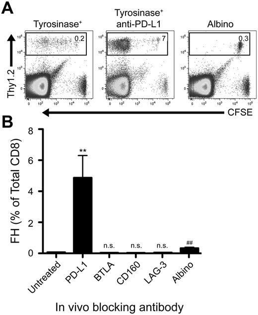 Figure 2. Blockade of PD-L1, but not other inhibitory molecules, rescues FH cells from deletion. (A) Representative and (B) cumulative data of Thy1.2 FH cells transferred into Thy1.1 tyrosinase+ mice, tyrosinase+ mice treated with blocking antibodies against inhibitory ligands, or antigen-free albino mice. LNs were harvested 7 days postadoptive transfer. (A) Boxes represent the percentage of TCD8 that are Thy1.2+ FH cells in the LNs of recipient mice. Data represent 4 to 8 mice per condition from 2 to 8 independent experiments. (B) **P = .0049, ##P = .0021 (2-tailed, unpaired t test; error bars, SEM).