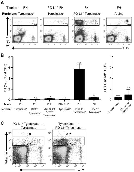 Figure 3. PD-L1 expressed by a nonhematopoietic radioresistant, and not radiosensitive, cell is responsible for LEC-mediated FH cell deletion. (A) Representative and (B) cumulative data of FH or PD-L1−/− FH cells transferred into tyrosinase+, Batf3−/− tyrosinase+, CD11c-cre+R26DTA tyrosinase+, PD-L1−/− tyrosinase+, tyrosinase+ treated with control encapsomes or clodronate liposomes, or albino recipients. ***P = .0001, ##P = .0059 (2-tailed, unpaired t test; error bars, SEM). (C) Representative data of FH cells transferred into recipient bone marrow chimeras lacking PD-L1 expression in either the hematopoietic or nonhematopoietic compartment. (A-C) LNs were harvested 7 days postadoptive transfer. Boxes represent the percentage of TCD8 that are FH or PD-L1−/− FH cells in the LN of recipient mice. Data represent 2 to 10 mice per condition from 1 to 7 independent experiments.