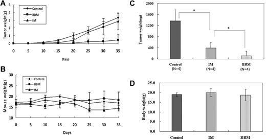 Figure 2. Berbamine inhibits the growth of TKI-resistant CML cells and primary CML cells in immunocompromised mice. BBM or imatinib was administered at 100 mg/kg body weight orally 3 times daily for 10 consecutive days, 24 hours after the subcutaneous injection of 2 × 107 TKI-resistant K562 cells or primary CML cells. (A) Effects of BBM and IM on the growth of TKI-resistant tumors. (B) Effects of BBM and IM on body weight of tumor-bearing mice. (C) Effects of BBM and IM on the growth of primary CML cells at the end of experiment (day 15). (D) Effects of BBM and IM on body weight of tumor-bearing mice (n = 4; *P < .01).