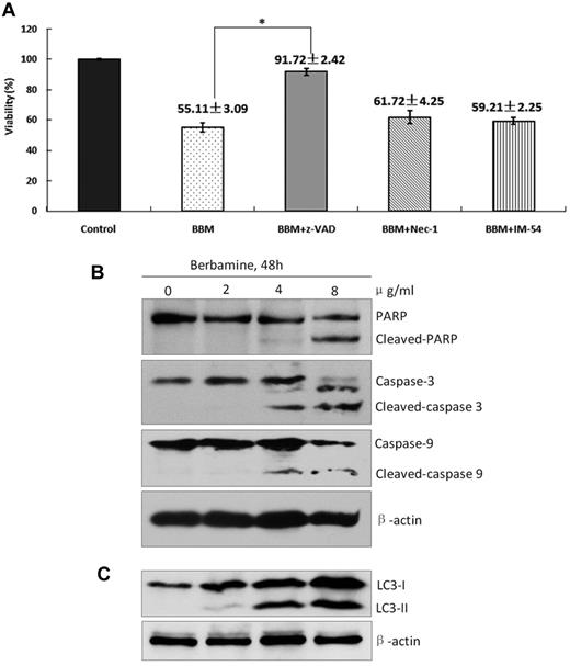 Figure 3. Berbamine induces apoptotic and autophagic death of leukemia cells. (A) Effect of berbamine on the viability of CML cells in the presence of various cell death inhibitors. CML cells were treated with BBM at 4 μg/mL in the presence of z-VAD (50μM), Nec-1 (25μM), or IM-54 (5μM) for 24 hours, and then collected for analysis of cell viability using FCM (*P < .01). (B-C) Berbamine treatment induced cleaved PARP, cleaved-caspase-3, cleaved-caspase-9, and LC3-II levels of CML cells in dose-dependent manners. CML cells were treated with BBM at the indicated concentrations for 48 hours, followed by Western blot analysis for PARP, caspase-3, caspase-9, and LC3-II. β-actin was used as a loading control.