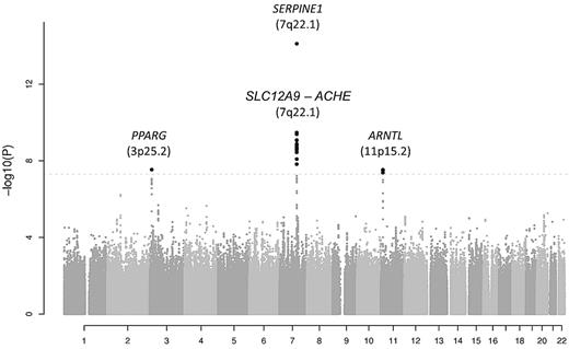 Figure 1. Manhattan plot showing the results for the 2 445 683 meta-analyzed SNPs in the discovery cohorts (a total of 19 683 subjects). SNPs are represented on the x-axis organized by chromosome. On the y-axis, statistical significance is expressed as −log10 of the P values. The horizontal line marks the P = 5.0 × 10−8 threshold of genome-wide significance.
