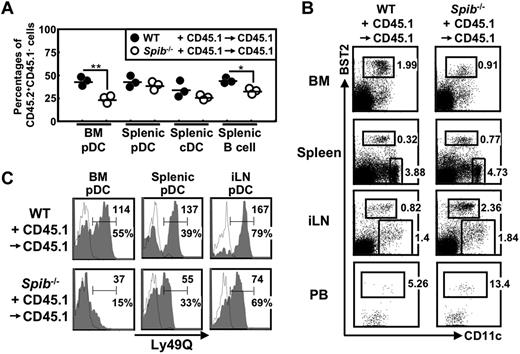 Figure 5. pDC defects in Spi-B–deficient mice are cell intrinsic. A 1:1 mixture of CD45.2+ WT C57BL/6 or Spi-B–deficient BM cells with CD45.1+ WT BM cells were transferred to irradiated CD45.1+ WT C57BL/6 recipients. The resulting chimeric mice, WT + CD45.1→CD45.1 and Spib−/− + CD45.1→CD45.1 mice, were analyzed 6-8 weeks after BM transfer. (A) BM pDCs, splenic pDCs, splenic cDCs, and splenic B cells were gated as CD19−CD11c+B220+, CD19−CD11c+B220+, CD19−CD11c+B220−, and CD19+CD11c− cells, respectively. The percentages of CD45.2+CD45.1− cells among these cells are shown. *P < .05; **P < .01. (B) CD45.2+CD45.1− cells were gated and dot plots of CD11c versus BST2 in BM, spleen, and iLN cells are shown. Numbers indicate percentages of gated cells among CD45.2+CD45.1− cells. For PB cells, dot plots of CD11c versus BST2 in CD19−CD11c+B220+ cells are shown. Numbers indicate the percentages of gated cells among CD45.2+CD45.1−CD19−CD11c+B220+ cells. (C) CD45.2+CD45.1−CD19−CD11c+B220+ cells were gated and analyzed for the expression of Ly49Q. Open histograms indicate isotype controls. Numbers indicate percentages and mean fluorescence intensity of Ly49Q+ cells. Experiments were performed 2 times using 6 WT + CD45.1→CD45.1 and 7 Spib−/− + CD45.1→CD45.1 mice in total. Panel A shows the data from one experiment; panels B and C show representative data.