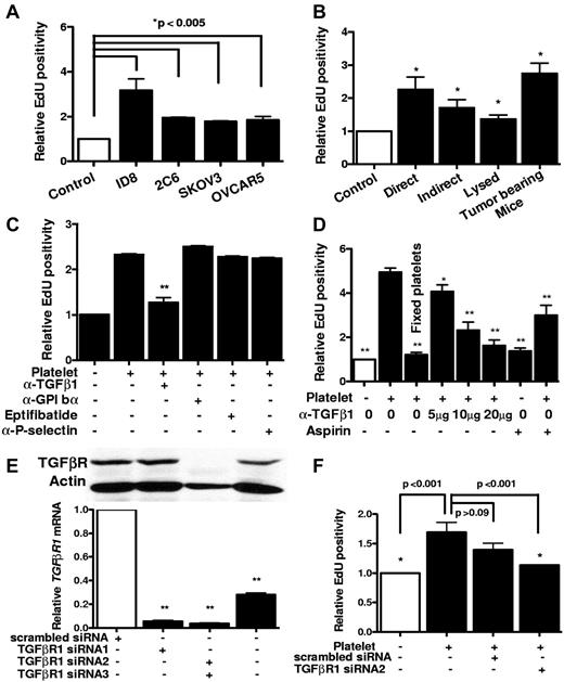 Figure 1. Proliferative effect of platelet on ovarian cancer cells in vitro. (A) After incubation with platelets, the proliferation rate of murine (ID8 and 2C6) and human (SKOV3 and OVCAR5) ovarian cancer cells was assessed by measuring Edu incorporation. Results are normalized to Edu positivity among buffer-exposed cells. (B) Effect of manipulating platelets on proliferative response of cancer cells was investigated by either directly incubating platelets on ID8 cells (direct) or separating them using a porous membrane (indirect). Lysed platelets were prepared by repeated applications of freeze and thaw and sonication. Platelets from tumor-bearing mice were isolated from moribund C57BL/6 female mice (n = 3) by IVC venipuncture 3-4 weeks after inoculation of ID8 cells. (C) Blocking antibodies against GPIbα (5 μg/mL), P-selectin (4 μg/mL), TGF-β1 (5 μg/mL), or GPIIb-IIIa blocking agent Eptifibatide (0.5 μM) or aspirin (15 μg/mL) was added to platelets before incubation with cancer cells, and after 24 hours Edu incorporation was measured. Results were normalized to cancer cells incubated with buffer alone. (D) Increasing concentrations of TGF-β1 blocking antibody and aspirin were used for blocking platelet-induced cancer cell proliferation. All results are compared with the second bar. (E) Knockdown of TGF-βR1 gene expression after transfection of SKOV3 human ovarian cancer cells with siRNA/liposome mixture (2 μg siRNA and 3 μL lipofectamine) was investigated by measuring protein and mRNA products, using Western blotting with anti–TGF-βR1 antibody (above) and real-time RT-PCR (below), respectively. (F) ID8 cells were transfected with either TGF-βR1 siRNA or scrambled siRNA before incubation with platelets. All results are compared with the second bar. The reduction in the proliferative response induced by scrambled siRNA was not statistically significant (P > .09). Each experiment was repeated at least 3 times in triplicates. The cumulative results are summarized as bar graphs. *P < .05 (t test). **P < .01 (t test).
