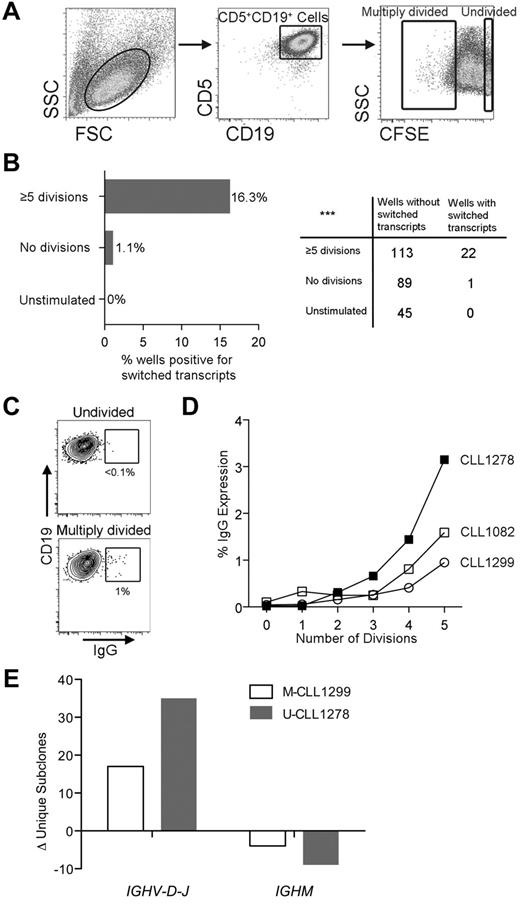 Figure 5. CLL cells that divided and up-regulated AID protein exhibited CSR and de novo SHM. (A) Sort strategy to obtain 20-cell and 1-cell aliquots of CD5+CD19+ cells from CLL PBMCs after up to 14 days of culture. (B) Comparison of the percentages and numbers of 20-cell/well aliquots that yielded α and γ (switched) CLL patient–specific IGHV-D-J transcripts from divided, undivided, and unstimulated CD5+CD19+ populations after 14 days of culture. ***P = .0002 by χ2 test. (C) Representative FACS plots showing minimal surface IgG expression by CD5+CD19+ cells that had not divided after 14 days of stimulation compared with at least a 10-fold higher expression by multiply divided cells. (D) Comparison of the division number with the percentage of surface IgG expression by CD5+CD19+ cells derived from stimulated CLL PBMCs after 14 days of culture. (E) Change in number of unique mutated subclones identified by NGS from cells stimulated in the CD40 + IL-4 system compared with prestimulated samples. The change in unique subclone count is subdivided into mutations in IGHVDJ and IGHM; a negative number was generated for IGHM in both cases because less unique subclones were found in this region after stimulation compared with prestimulated cells.