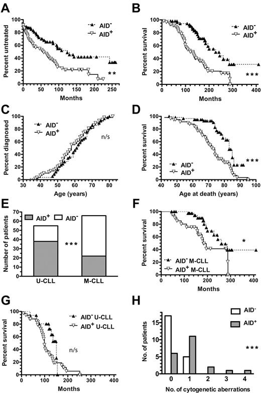 Figure 6. AID+ CLL is correlated with an increased number of cytogenetic aberrations and worse clinical outcomes. Clinical data and prognostic factors for AID+ and AID− CLL patients were compared using the Kaplan-Meier method. (A) TFT curves comparing AID+ and AID− CLL patients (n = 58 and n = 55, respectively) were significantly different. **P = .0023. (B) OS curve of AID+ CLL patients (n = 57) differed significantly from that of AID− patients (n = 55) ***P < .0001. (C) Age of CLL diagnosis curves of AID+ and AID− CLL patients were not significantly different (n/s). (D) Age of death curve for AID+ CLL patients differed significantly from that of AID− patients. ***P < .0001. (E) U-CLL patients were more frequently AID+ (38/55), whereas M-CLL patients were more frequently AID− (54 of 66). ***P = .0001. (F) OS curve of AID+ M-CLL patients differed significantly from that of AID− M-CLL patients. *P = .0264. (G) OS curves of AID+ and AID− U-CLL patients were not significantly different (n/s). (H) AID+ patients had increased numbers of aberrations at 7 commonly tested cytogenetic loci (17p13.1, 11q22.3, 12-CEN, 13q34, 11q13, 14q32, and 6q23.3) compared with AID− patients (median = 1 vs 0). Distribution of the numbers of aberrations was significantly different between the AID+ and AID− groups. ***P = .0009.
