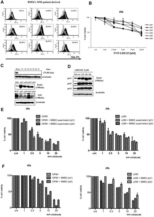 Figure 5. Hh activity in MM patient-derived BMSCs. (A) BMSCs isolated from MM patients were stained with Shh-PE–conjugated Ab and analyzed by FACSCanto II flow cytometer; staining is relative to isotype-matched control. As seen, the Shh ligand is variably expressed by BMSCs. (B) MM patient-derived BMSCs were cultured in the presence of control medium or NVP-LDE225 for 48 hours, and proliferation was measured by MTT assay. (C) Immunoblot of protein lysate from MM patient-derived BMSCs fractionated by electrophoresis and stained with anti-Smo, anti-Ptch1, and anti-Gli1 Abs. (D) Immunoblot of protein lysate from MM patient-derived BMSCs fractionated by electrophoresis and stained with anti-Ptch1 Ab, showing no down-regulation of Ptch1 after NVP-LDE225 treatment. (E) MM cell lines were cultured for 48 hours in the presence of control medium or BMSC culture-derived supernatant and treated with NVP-LDE225 at indicated doses; cell viability was assessed by MTT assay. (F) MM cell lines were cultured for 48 hours in the absence or presence of patient-derived BMSCs and treated with NVP-LDE225 at indicated doses; MM cell viability was assessed by CFSE staining.