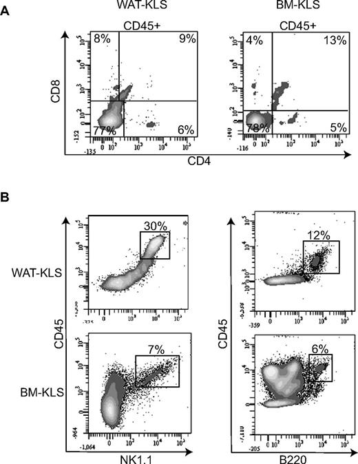 Figure 2. Lymphoid differentiation of WAT-KLS cells. WAT-KLS or BM-KLS cells were seeded onto a stromal feeder layer of OP9-DL1 (A) or OP9 (B) cells in the presence of the appropriate cytokines. After 14 days, cells were harvested and analyzed by flow cytometry. Dot plots are representative of 4 independent experiments.